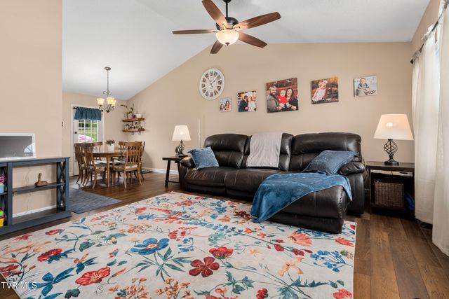 253 Springview Drive, Gray, TN 37615