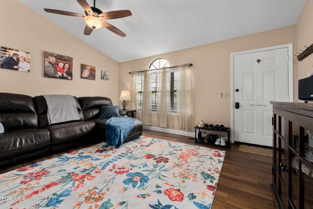 253 Springview Drive, Gray, TN 37615