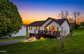 253 Springview Drive, Gray, TN 37615