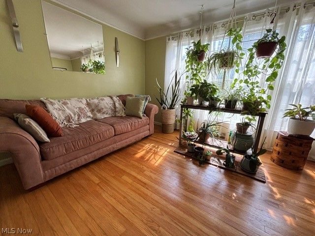 1129 Avondale, South Euclid, OH 44121