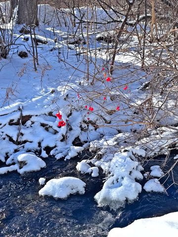 341 Dewey Street, Bennington, VT 05201