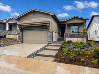 463 Basin Daisy St, Castle Rock, CO 80104