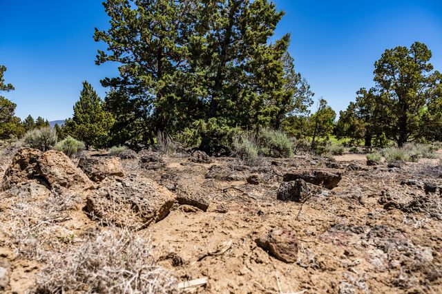 Canyon View Loop Lot #168, Bend, OR 97701