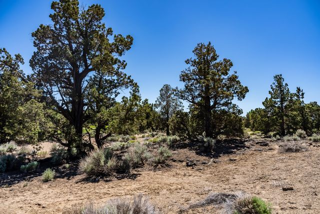 Canyon View Loop Lot #168, Bend, OR 97701