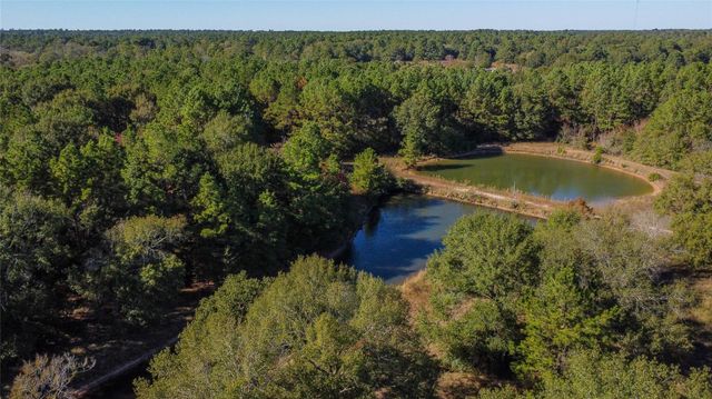 00 Fm-1774, Plantersville, TX 77363