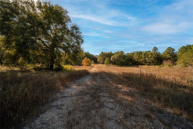 00 Fm-1774, Plantersville, TX 77363