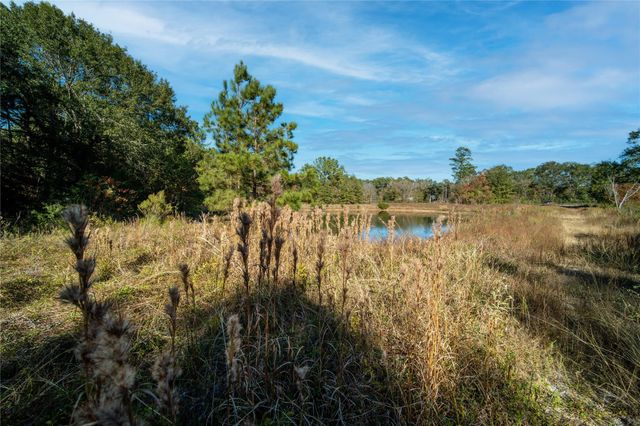 00 Fm-1774, Plantersville, TX 77363