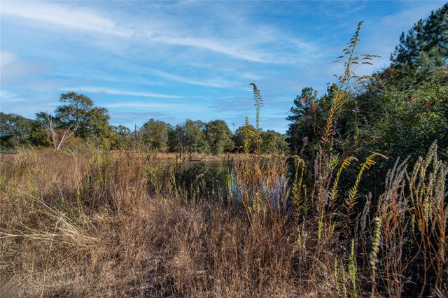 00 Fm-1774, Plantersville, TX 77363