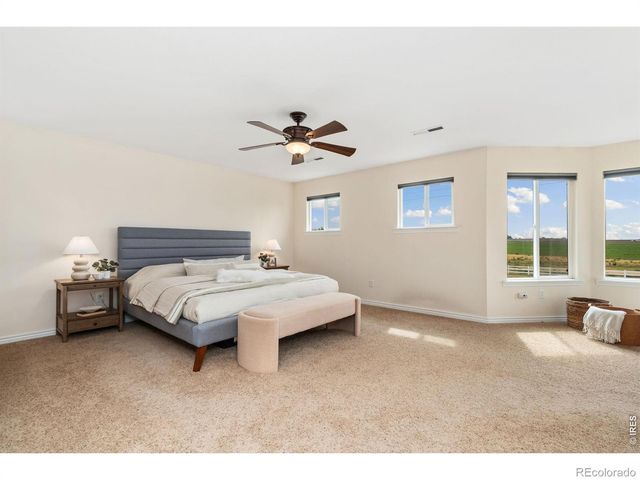 750 Falcon Court, Milliken, CO 80543