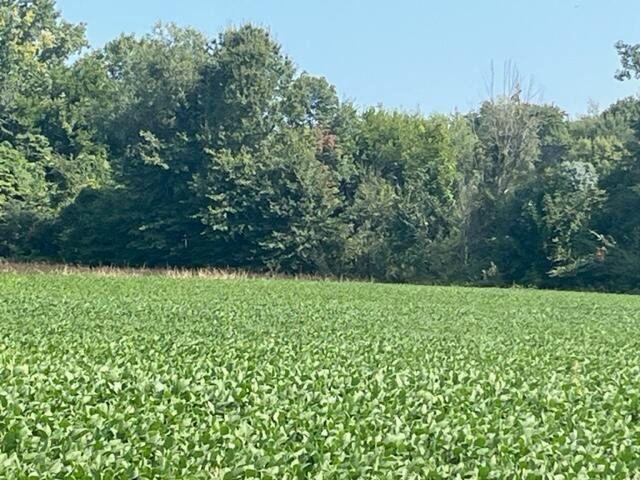 Wilson Road B, New Buffalo, MI 49117