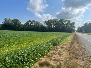 Wilson Road B, New Buffalo, MI 49117