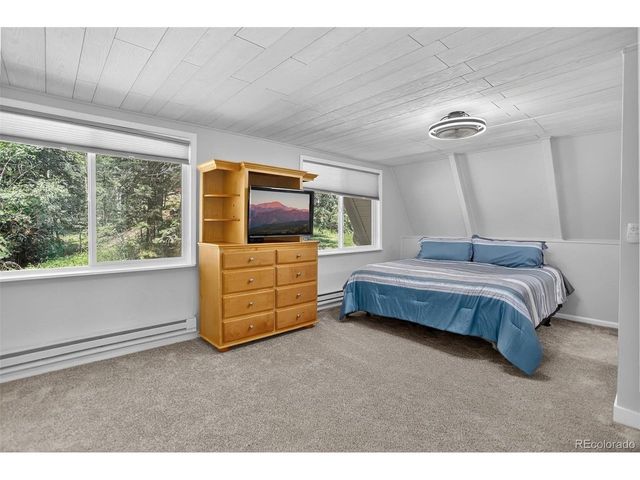 307 Snyder Mountain Rd, Evergreen, CO 80439