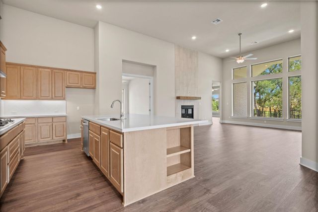 271 Wood Thrush RUN, Kyle, TX 78640