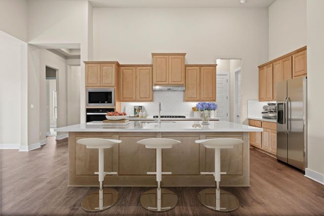 271 Wood Thrush RUN, Kyle, TX 78640