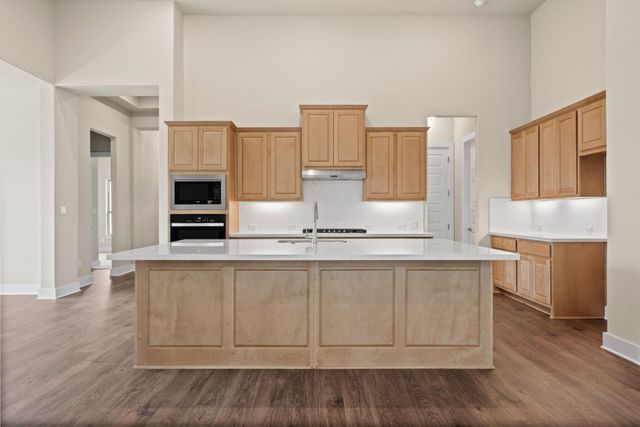 271 Wood Thrush RUN, Kyle, TX 78640