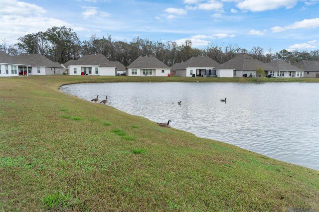 8256 Sweetgum Dr, Gonzales, LA 70737