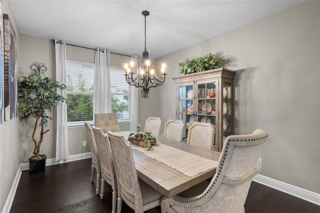 4294 TIGRIS DRIVE, Apopka, FL 32712