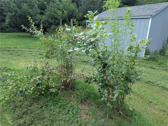 14671 Lime Kiln Road, Barre, NY 14411