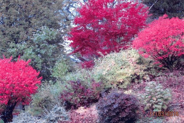 116 Winslow Road, Newton, MA 02468