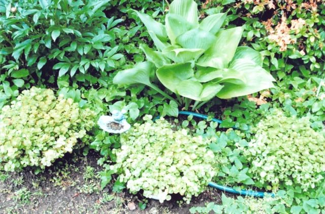 116 Winslow Road, Newton, MA 02468