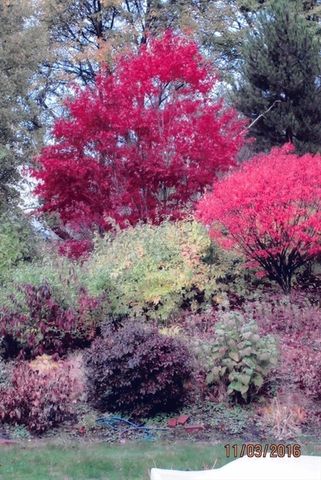 116 Winslow Road, Newton, MA 02468