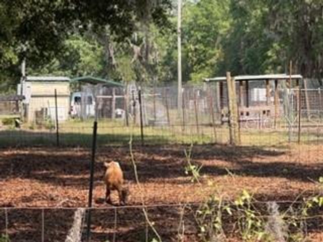 4760 NW 55TH AVENUE, Bell, FL 32619