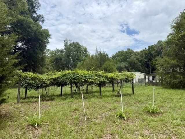 4760 NW 55TH AVENUE, Bell, FL 32619