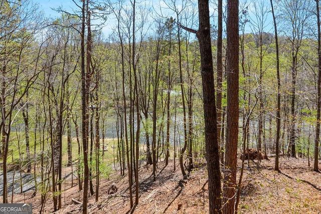 65 Dawn Lane 725, Ellijay, GA 30540