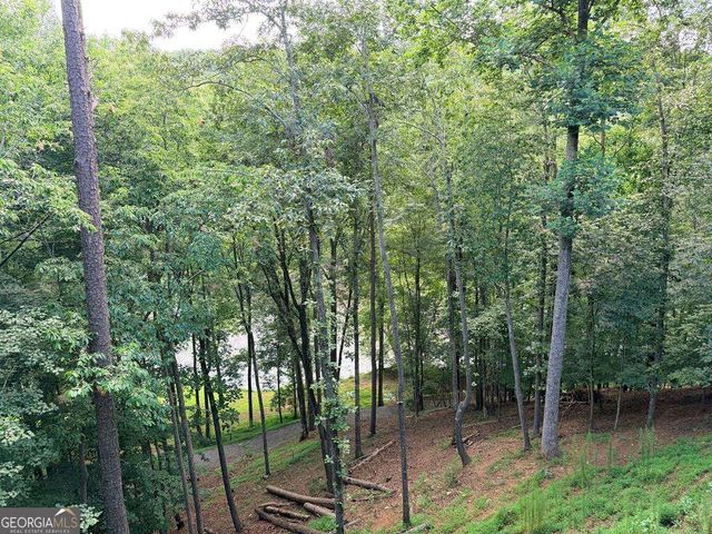 65 Dawn Lane 725, Ellijay, GA 30540