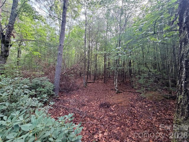 TBD Waters Edge Drive 3-16, Nebo, NC 28761