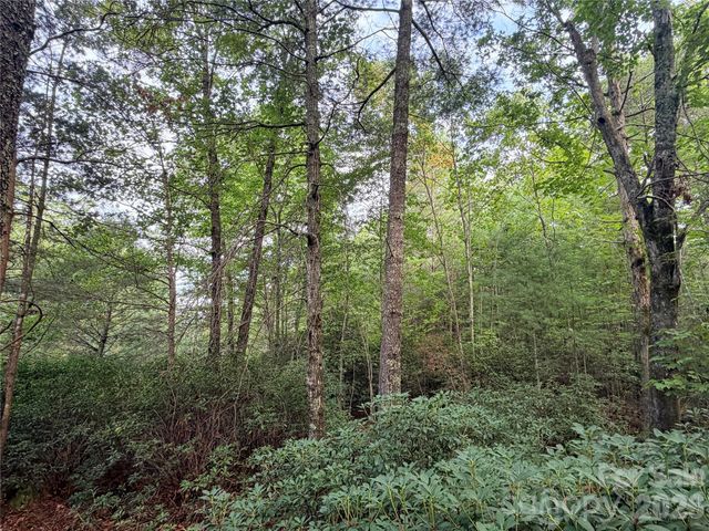 TBD Waters Edge Drive 3-16, Nebo, NC 28761