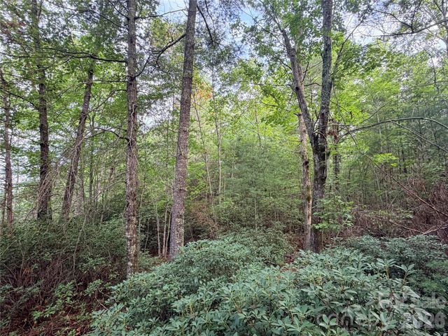 TBD Waters Edge Drive 3-16, Nebo, NC 28761