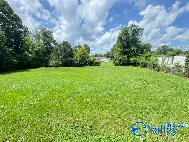 131 Stan Ryan Road, Toney, AL 35773