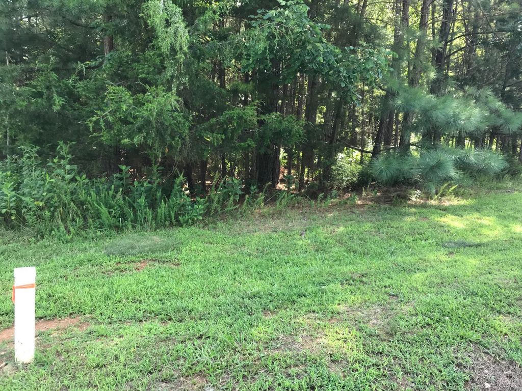 0 Hidden Cove Lane, Lynch Station, VA 24571