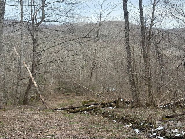 TBD 1.21 Acres Jass Cove Road, Marshall, NC 28753