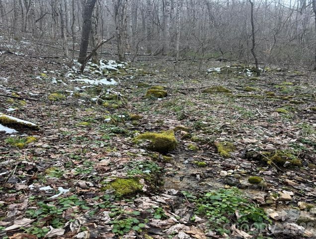 TBD 1.21 Acres Jass Cove Road, Marshall, NC 28753