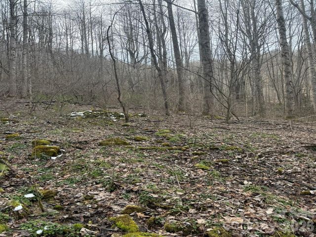 TBD 1.21 Acres Jass Cove Road, Marshall, NC 28753