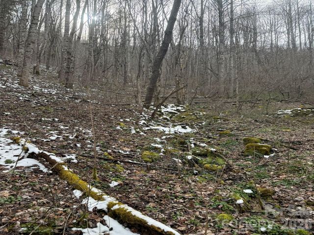TBD 1.21 Acres Jass Cove Road, Marshall, NC 28753