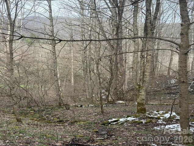 TBD 1.21 Acres Jass Cove Road, Marshall, NC 28753