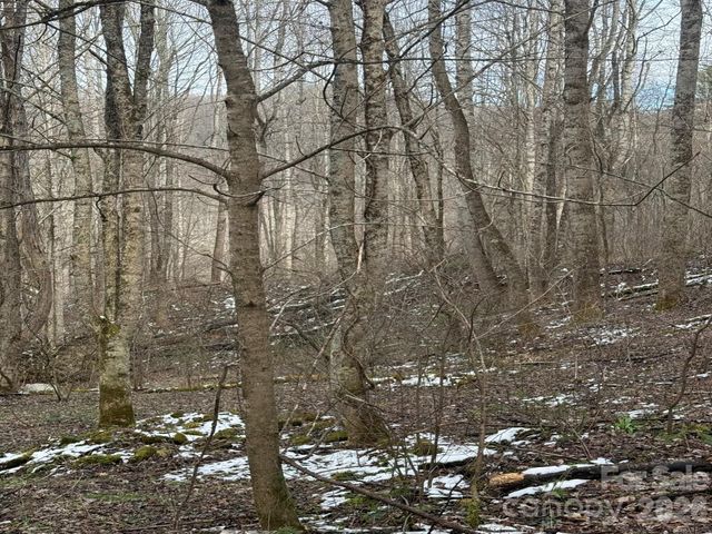 TBD 1.21 Acres Jass Cove Road, Marshall, NC 28753