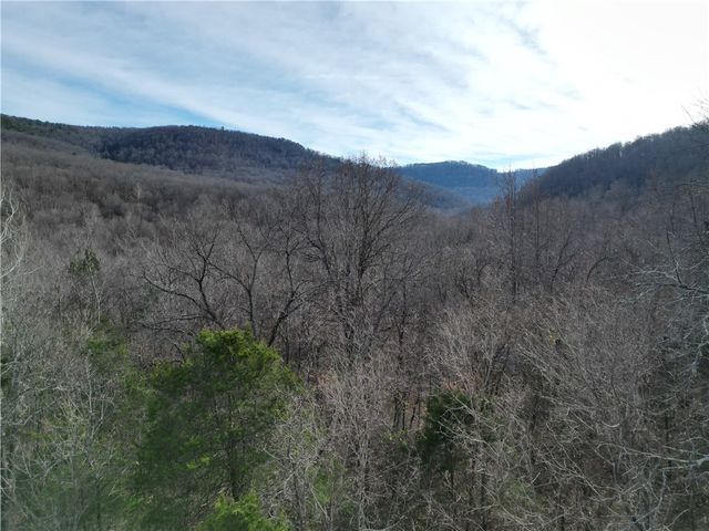 3702 NC 8440, Parthenon, AR 72666