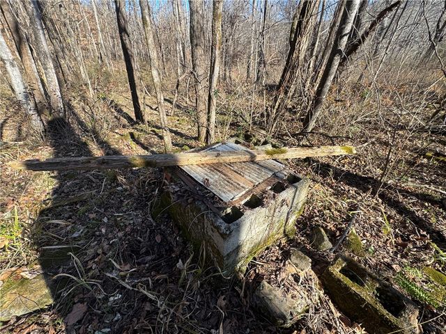 3702 NC 8440, Parthenon, AR 72666