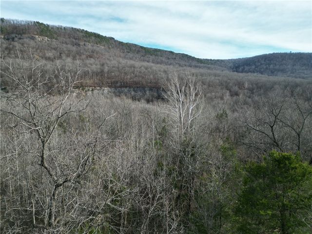 3702 NC 8440, Parthenon, AR 72666