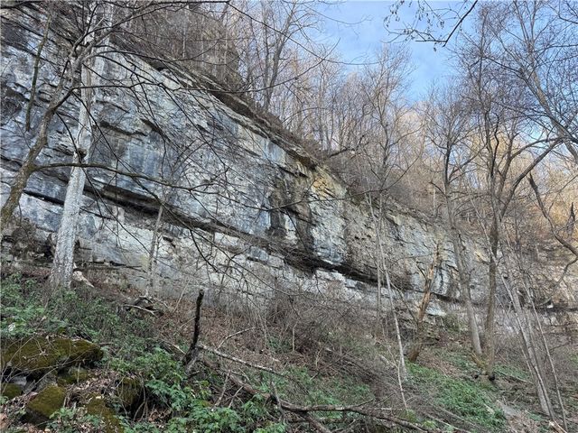 3702 NC 8440, Parthenon, AR 72666