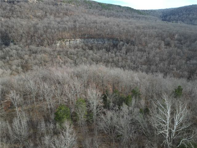 3702 NC 8440, Parthenon, AR 72666