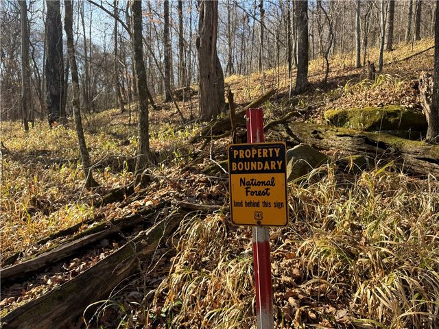 3702 NC 8440, Parthenon, AR 72666