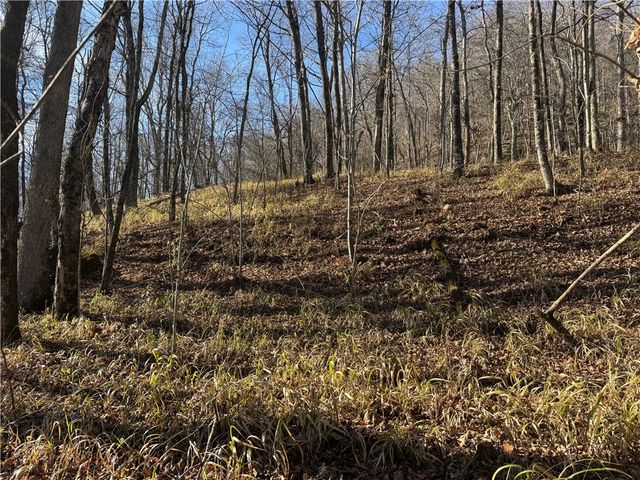 3702 NC 8440, Parthenon, AR 72666