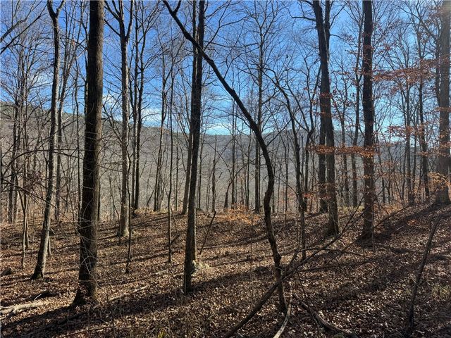 3702 NC 8440, Parthenon, AR 72666