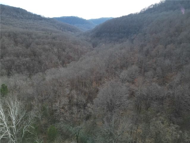 3702 NC 8440, Parthenon, AR 72666