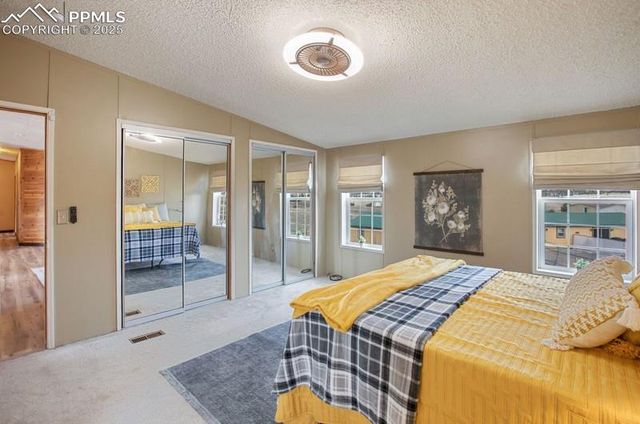 338 Doublet Lane, Divide, CO 80814